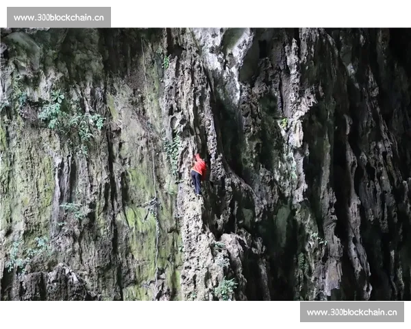 全球体育动态分析及各大赛事前瞻影响力深度解读