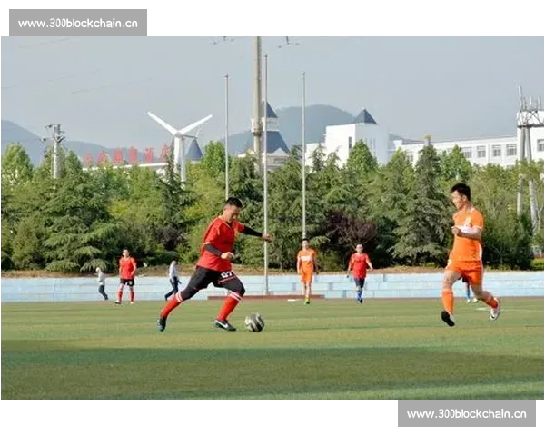 面向竞技体育的智能分析数据平台创新与应用前景研究发展趋势探索 - 副本 - 副本 - 副本